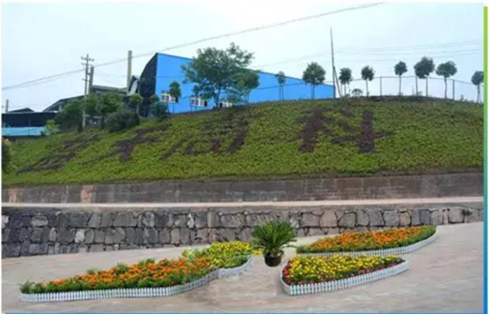 ������4����Ӫ��ҵ���ٻ��º��Ϲ��׽�ȫʡ������Ӫ��ҵ�ҡ��ƺ�